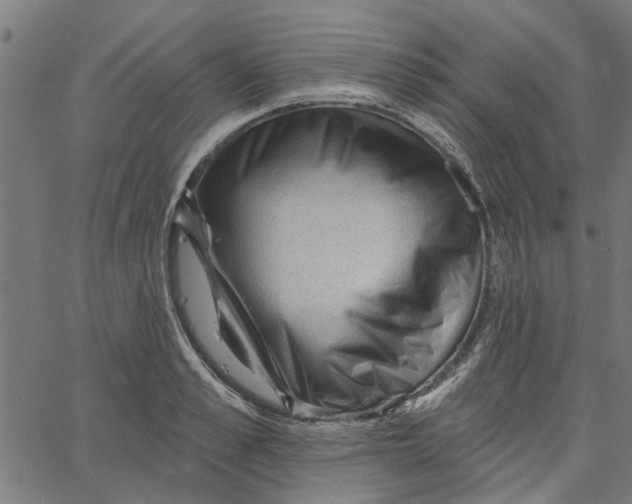 X0000067510989200604281604