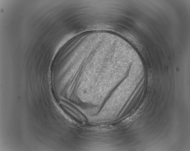 X0000067510990200604281604