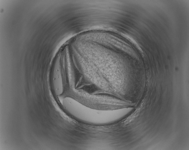 X0000067510991200604281604