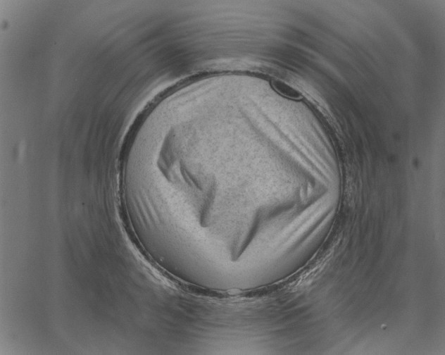 X0000067510992200604281604