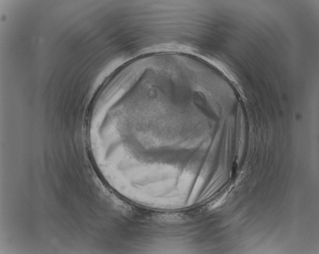 X0000067510998200604281603