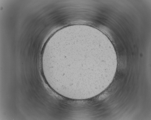 X0000067511000200604281603