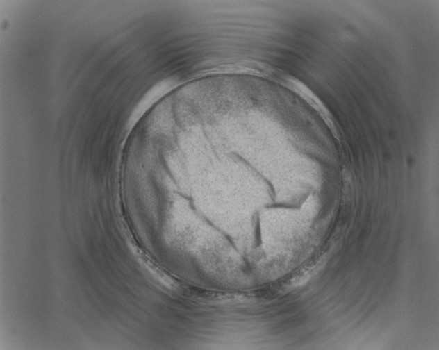 X0000067511002200604281603