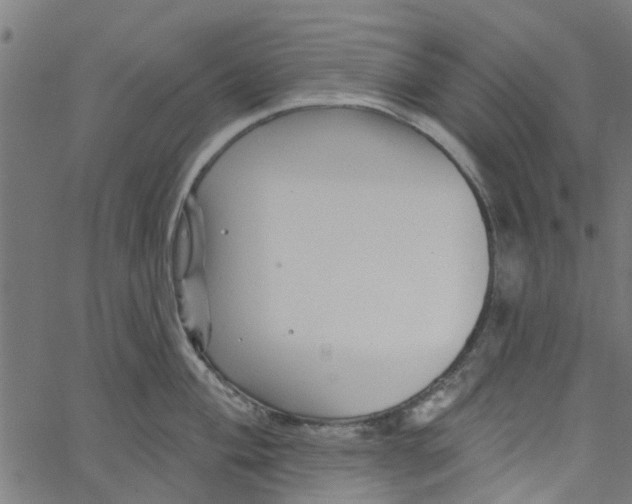 X0000067511004200604281603