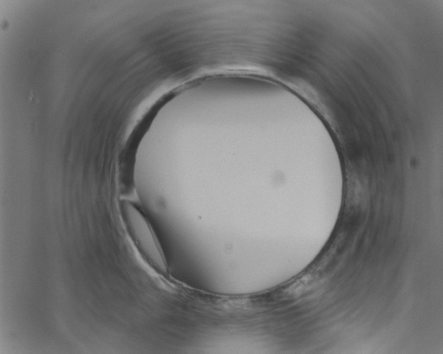 X0000067511006200604281603