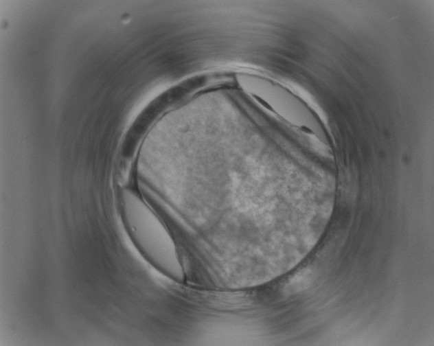 X0000067511007200604281603