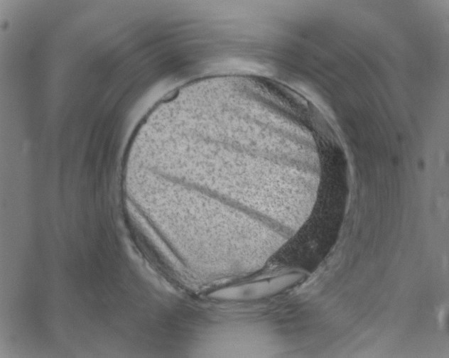 X0000067511008200604281603