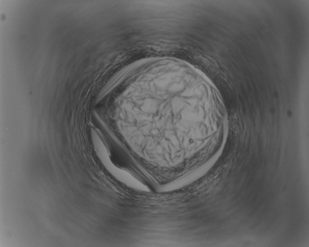 X0000067511009200604281603