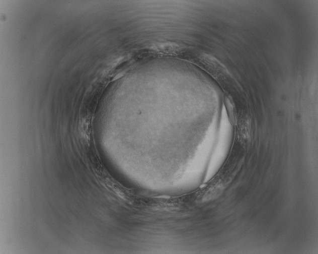 X0000067511010200604281603