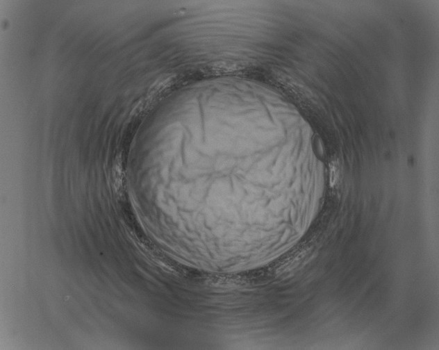 X0000067511011200604281603