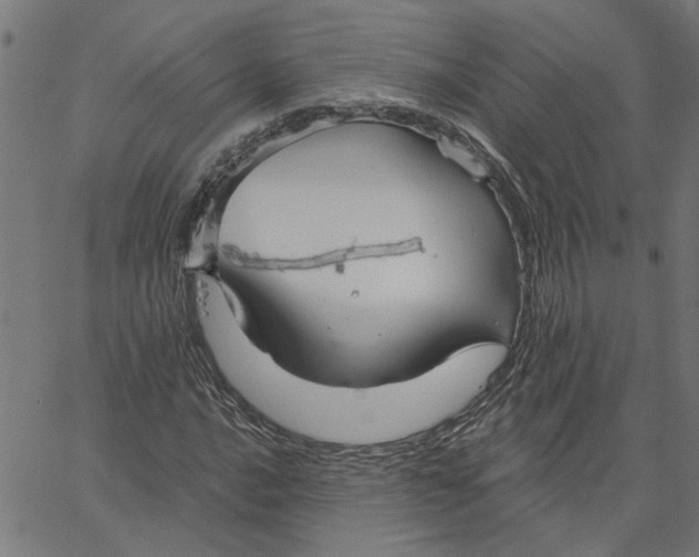 X0000067511016200604281603