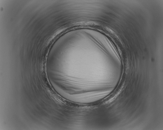 X0000067511017200604281603