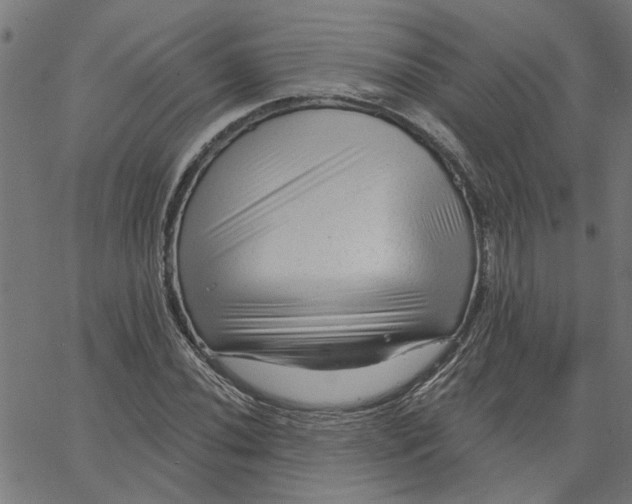 X0000067511020200604281603