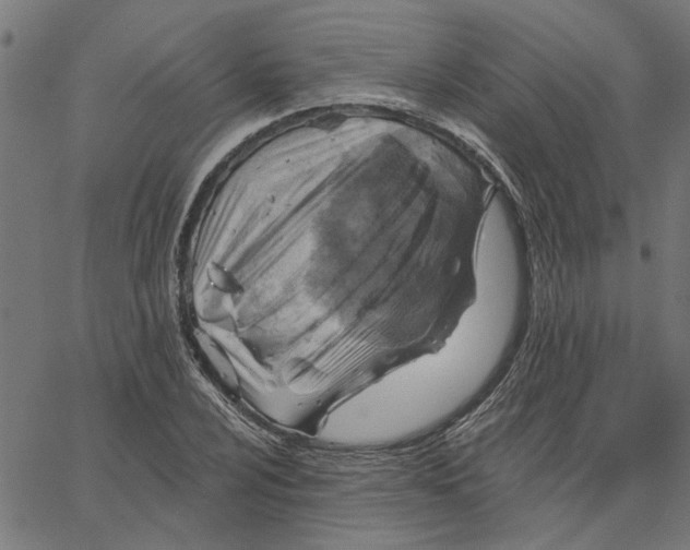 X0000067511024200604281603