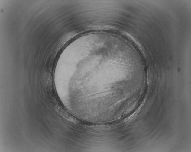 X0000067511025200604281603