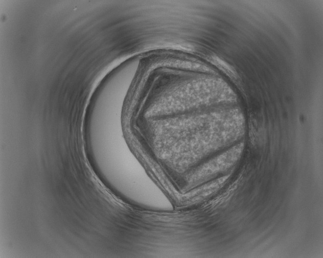 X0000067511028200604281603