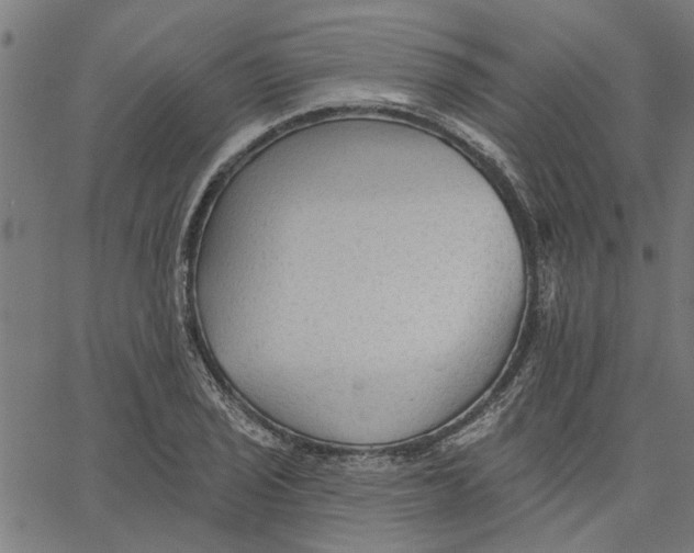 X0000067511029200604281603