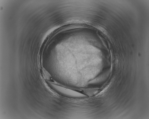 X0000067511030200604281603