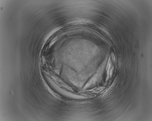 X0000067511034200604281603