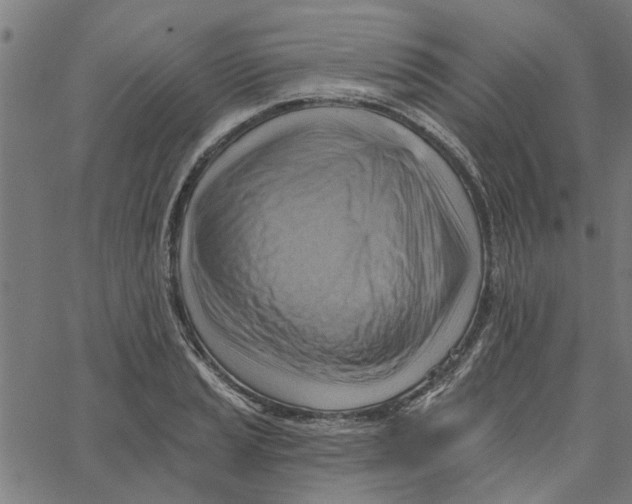 X0000067511037200604281603