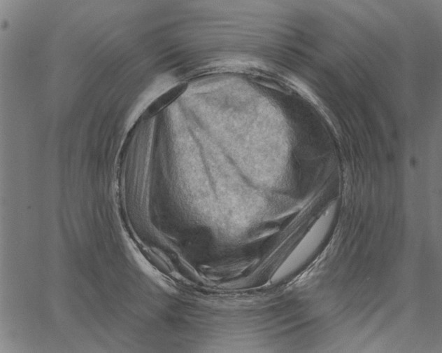 X0000067511042200604281603