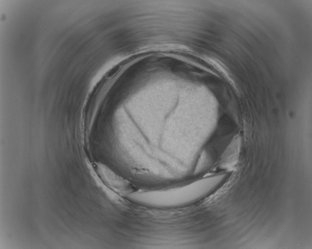 X0000067511046200604281603