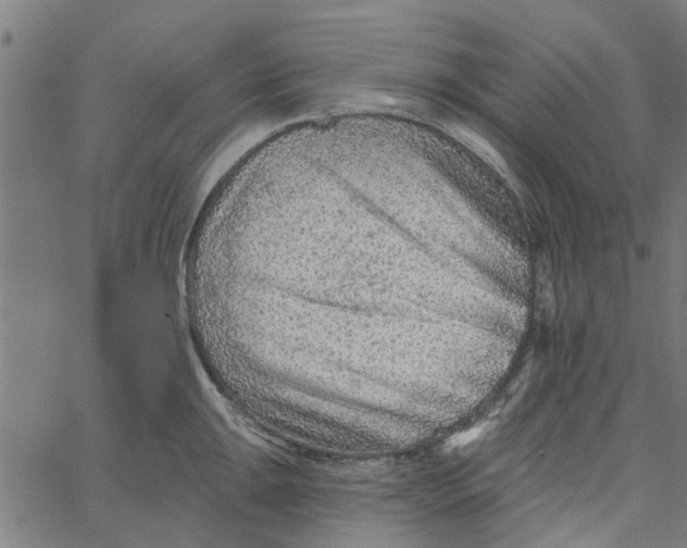 X0000067511047200604281603