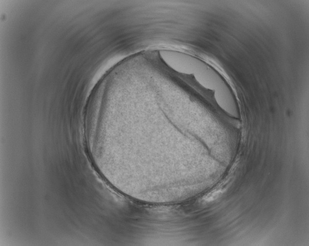 X0000067511048200604281603