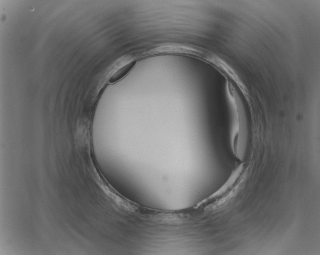 X0000067511049200604281603