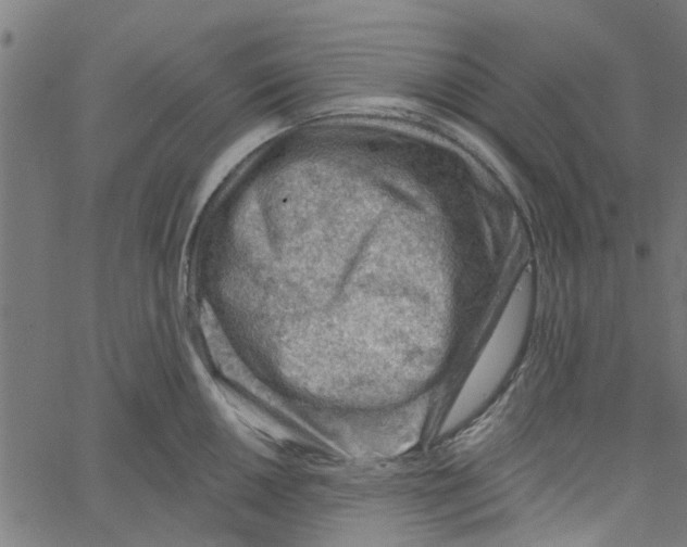 X0000067511050200604281603