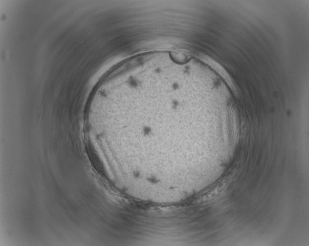 X0000067511051200604281603