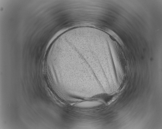 X0000067511052200604281603