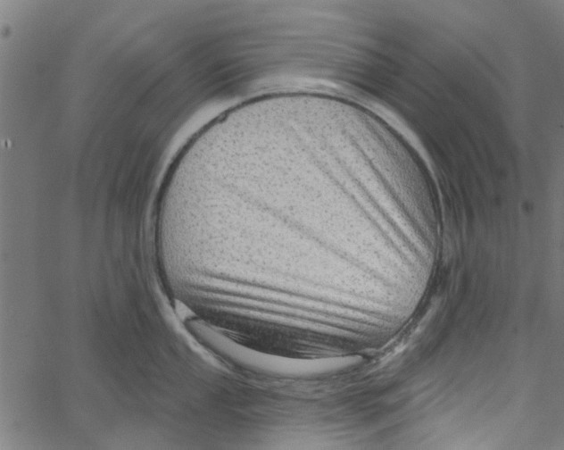 X0000067511053200604281603