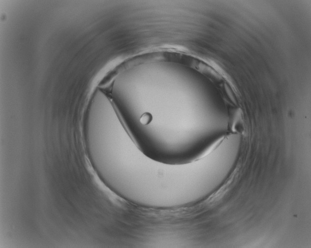 X0000067511054200604281603