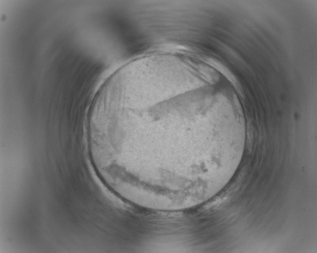 X0000067511055200604281603