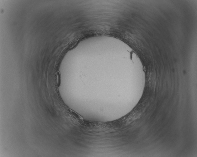 X0000067511057200604281602