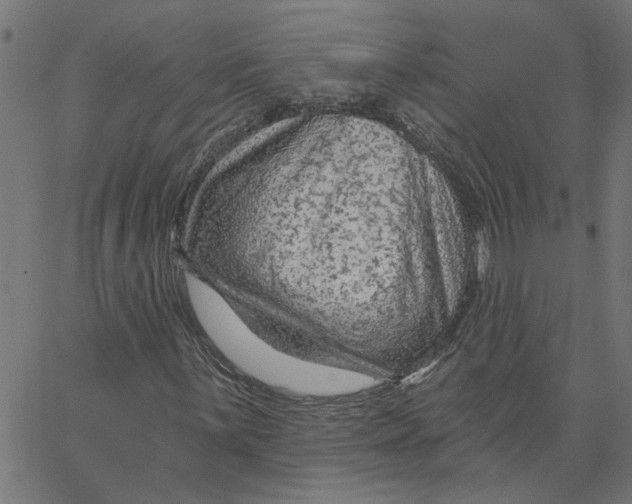 X0000067511059200604281602