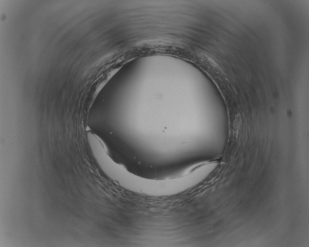 X0000067511062200604281602