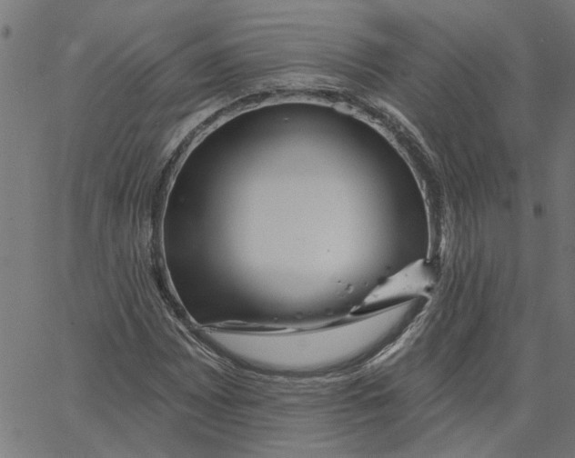 X0000067511065200604281602