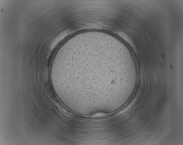 X0000067511067200604281602