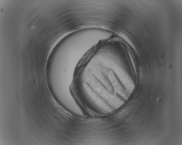 X0000067511068200604281602