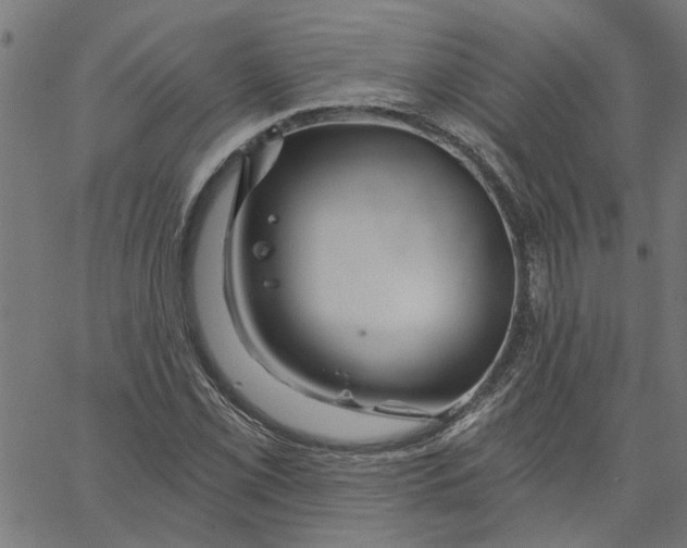 X0000067511069200604281602