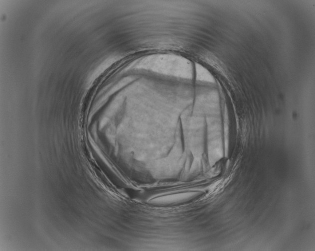 X0000067511071200604281602