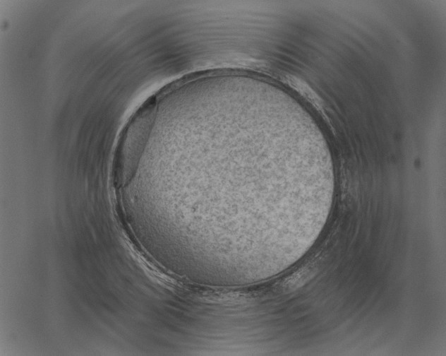 X0000067511072200604281602