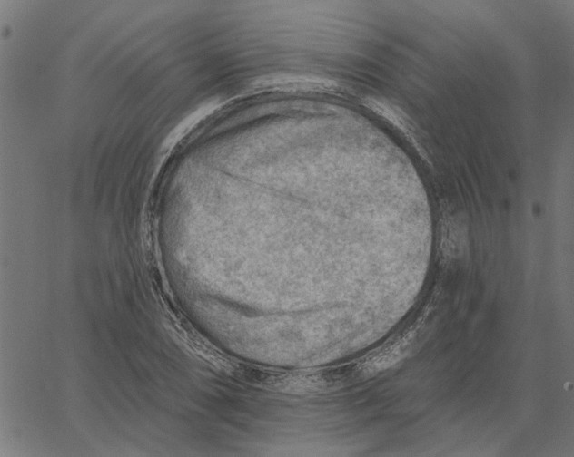 X0000067511074200604281602