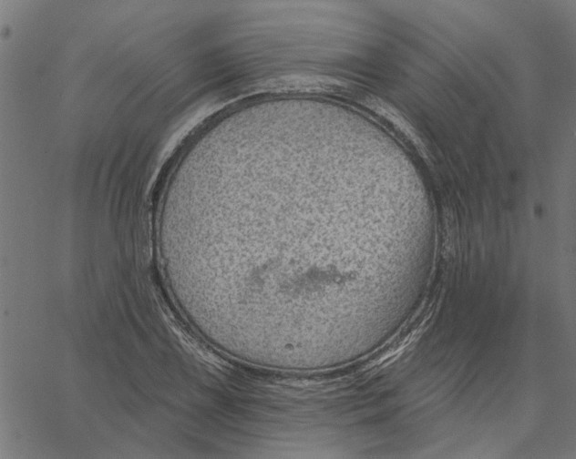 X0000067511075200604281602