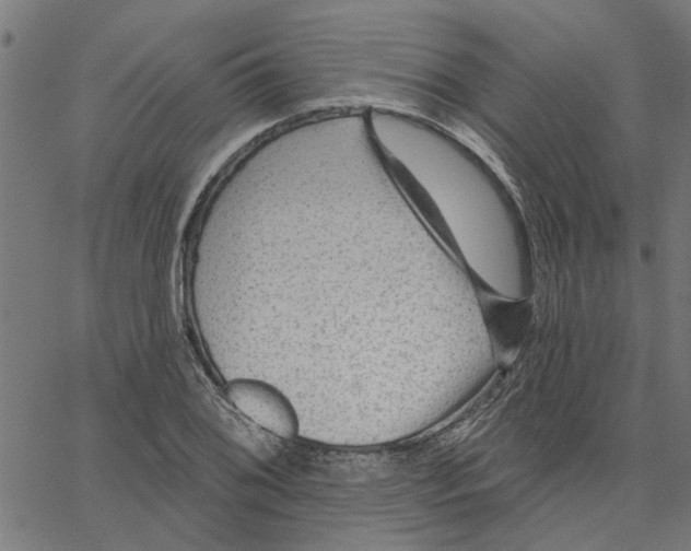 X0000067511076200604281602