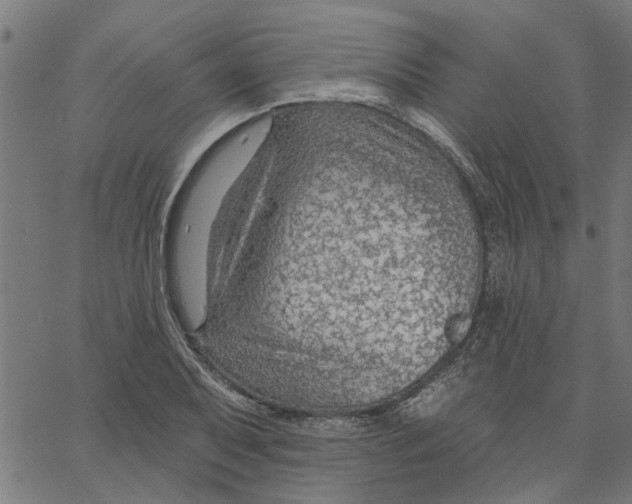 X0000067511079200604281602