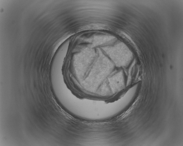 X0000067511081200604281602