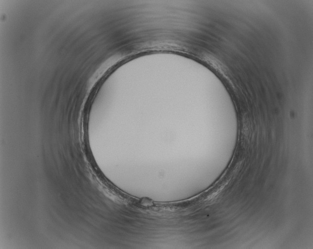 X0000067511082200604281602